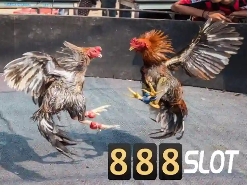 💎perusahaan nexus slot💎 💎perusahaan nexus slot💎