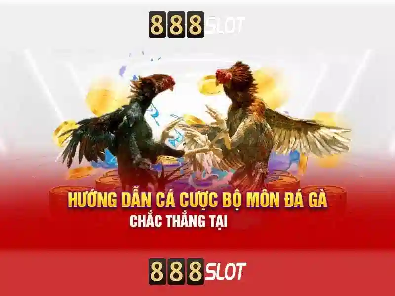 💎tỷ lệ cá cược bóng đá olympic hôm nay💎 💎tỷ lệ cá cược bóng đá olympic hôm nay💎
