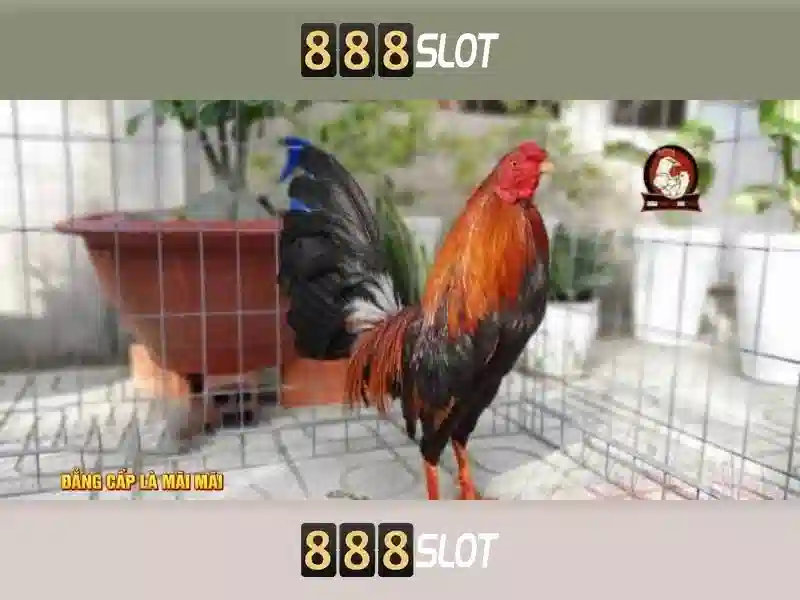 💎scarab slot💎 💎scarab slot💎