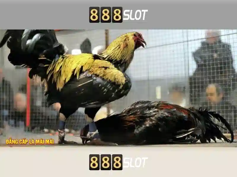 💎nhà cái lucky88💎 💎nhà cái lucky88💎