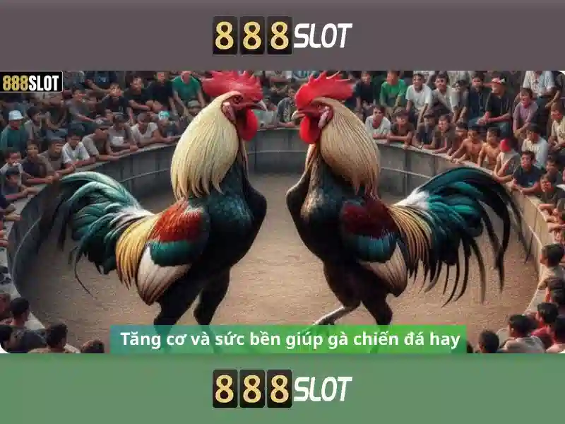 💎mr cường nhà cái💎 💎mr cường nhà cái💎