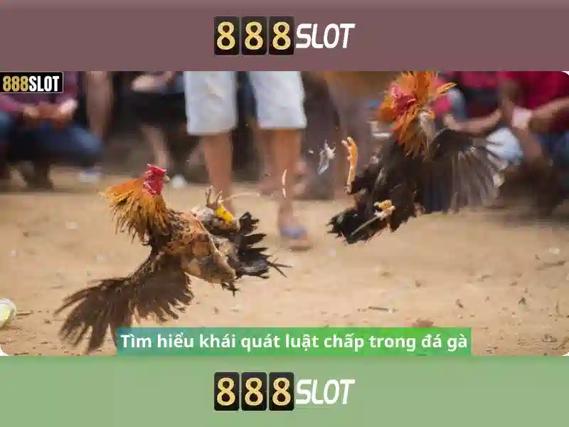 💎soi cầu rongbachkim cầu 888💎 💎soi cầu rongbachkim cầu 888💎