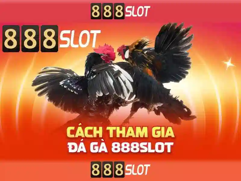 💎trang web cá cược bóng đá thenyic.org💎 💎trang web cá cược bóng đá thenyic.org💎