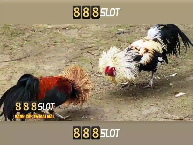 💎bet88 slot real money💎 💎bet88 slot real money💎