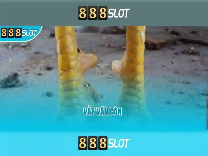 💎liên kết cá cược💎 💎liên kết cá cược💎