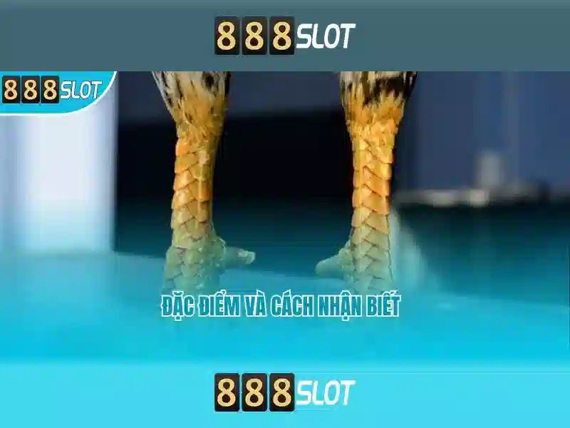 💎high voltage blackout slot💎 💎high voltage blackout slot💎