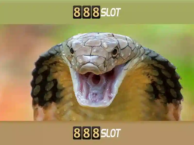 💎bigwin777 slot💎 💎bigwin777 slot💎