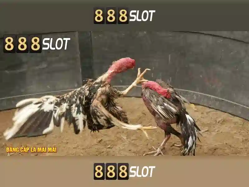 💎bài đánh giá về cơm niêu phương bắc💎 💎bài đánh giá về cơm niêu phương bắc💎