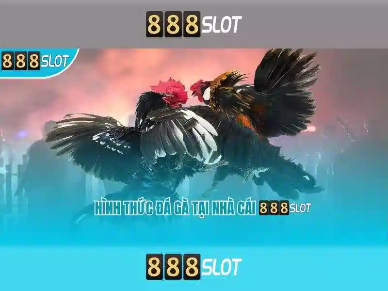 💎top 10 nhà cái uy tin 198💎 💎top 10 nhà cái uy tin 198💎