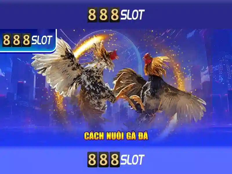 💎nước chủ nhà đăng cai euro 2020💎 💎nước chủ nhà đăng cai euro 2020💎