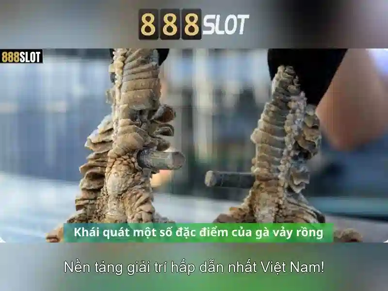 💎nhà cái ee88 ở đầu💎 💎nhà cái ee88 ở đầu💎