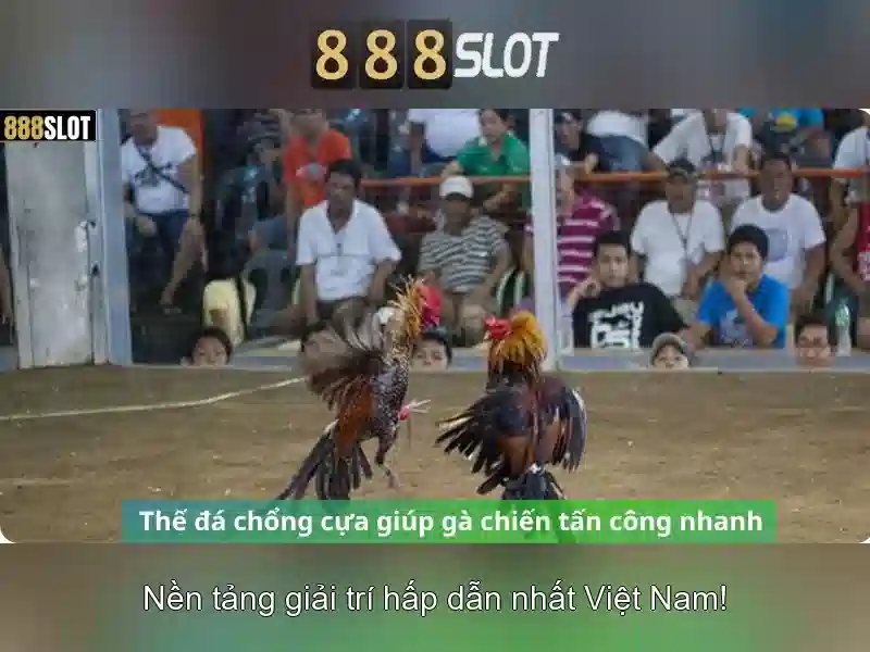 💎eropa 4d slot💎 💎eropa 4d slot💎