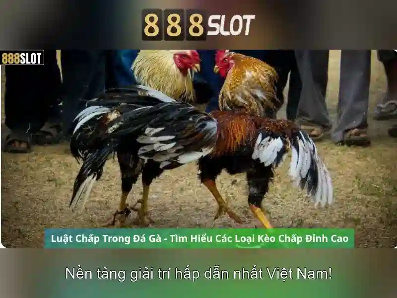 💎nhà cái m88 mbet88.gg💎 💎nhà cái m88 mbet88.gg💎