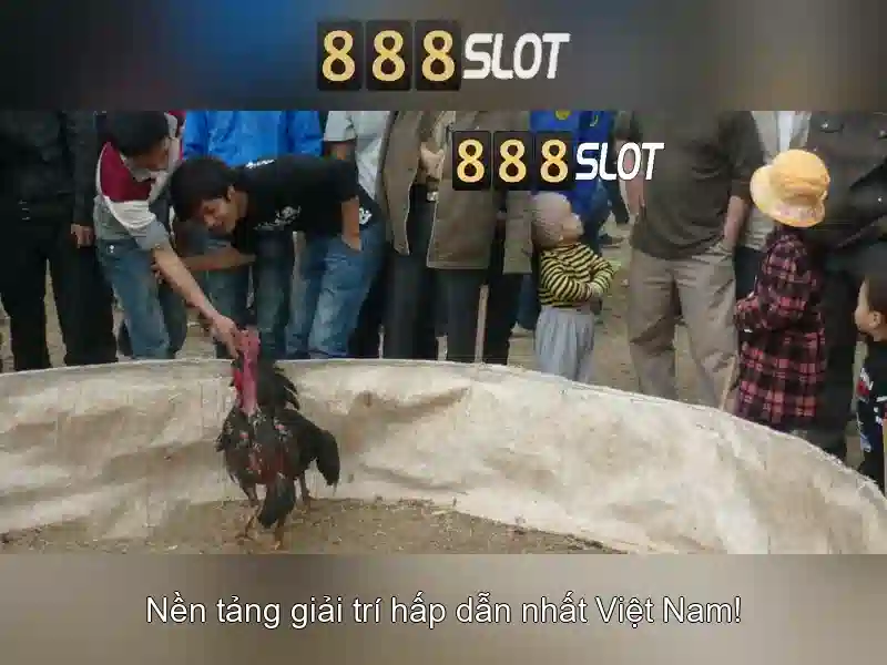 💎htc u11 sd card slot💎 💎htc u11 sd card slot💎