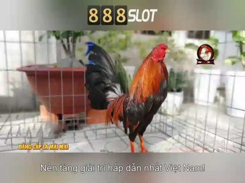 💎1 pound deposit slots uk💎 💎1 pound deposit slots uk💎