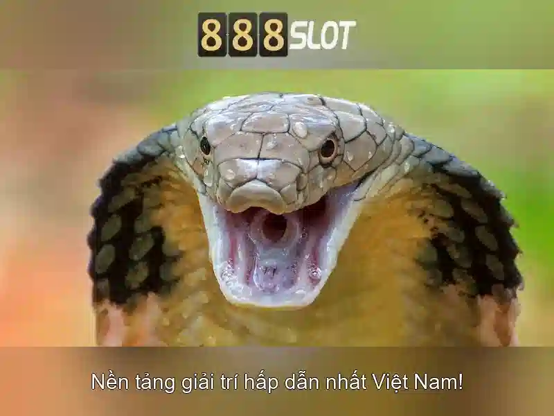 💎slot charter💎 💎slot charter💎